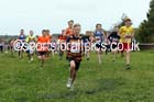 Boys under-13s, Start Fitness North Eastern Harrier League, Tanfield, County Durham. Photo: David T. Hewitson/Sports for All Pics